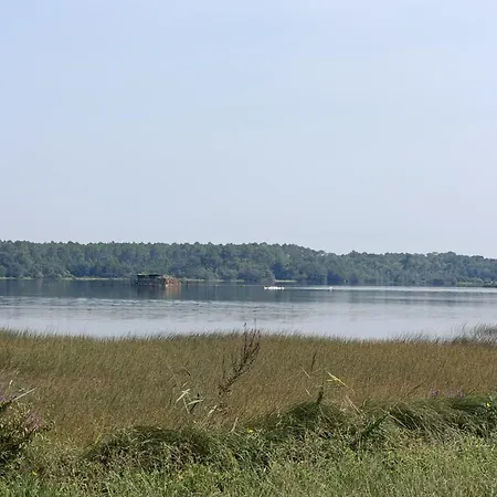 캠프장 Mobil 6 Pers Rivage Des Landes Piscine Landes Aureilhan (Landes)