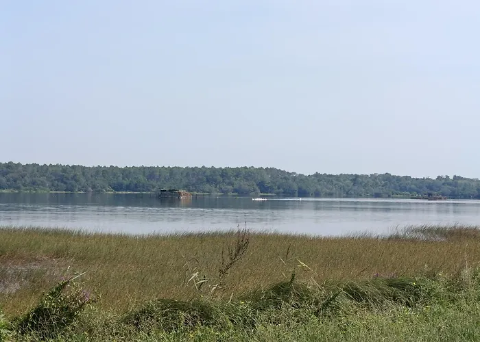 Camping Mobil 6 Pers Rivage Des Landes Piscine Landes Aureilhan (Landes)